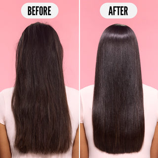 Bond Repair Starter Bundle