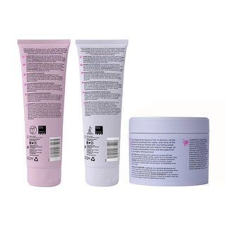 Conjunto de Inicio de Impulso de Humedad 